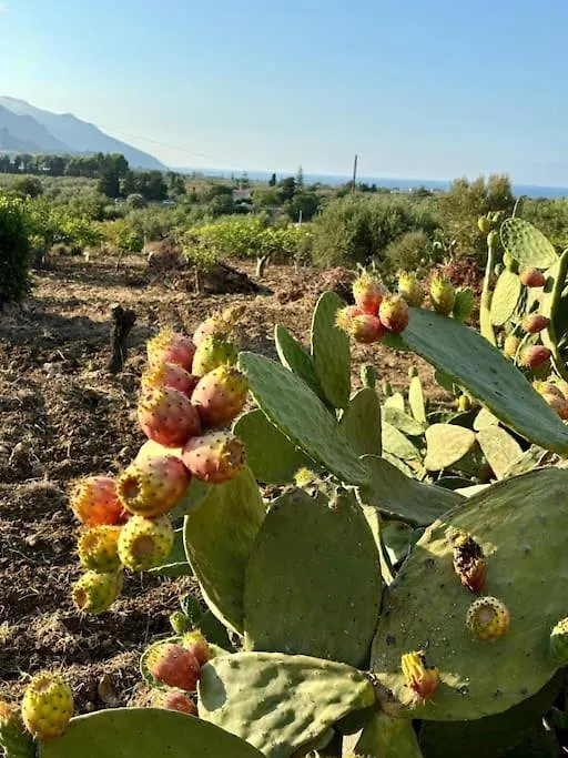 Holiday home Maison Lume Castellammare del Golfo Italy
